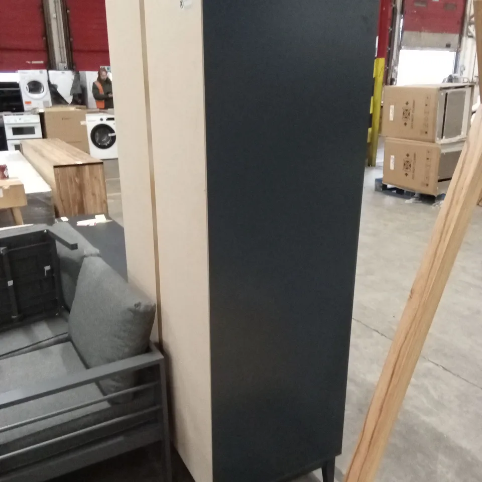 ALIYU 2 DOOR MANUFACTURED WOOD WARDROBE