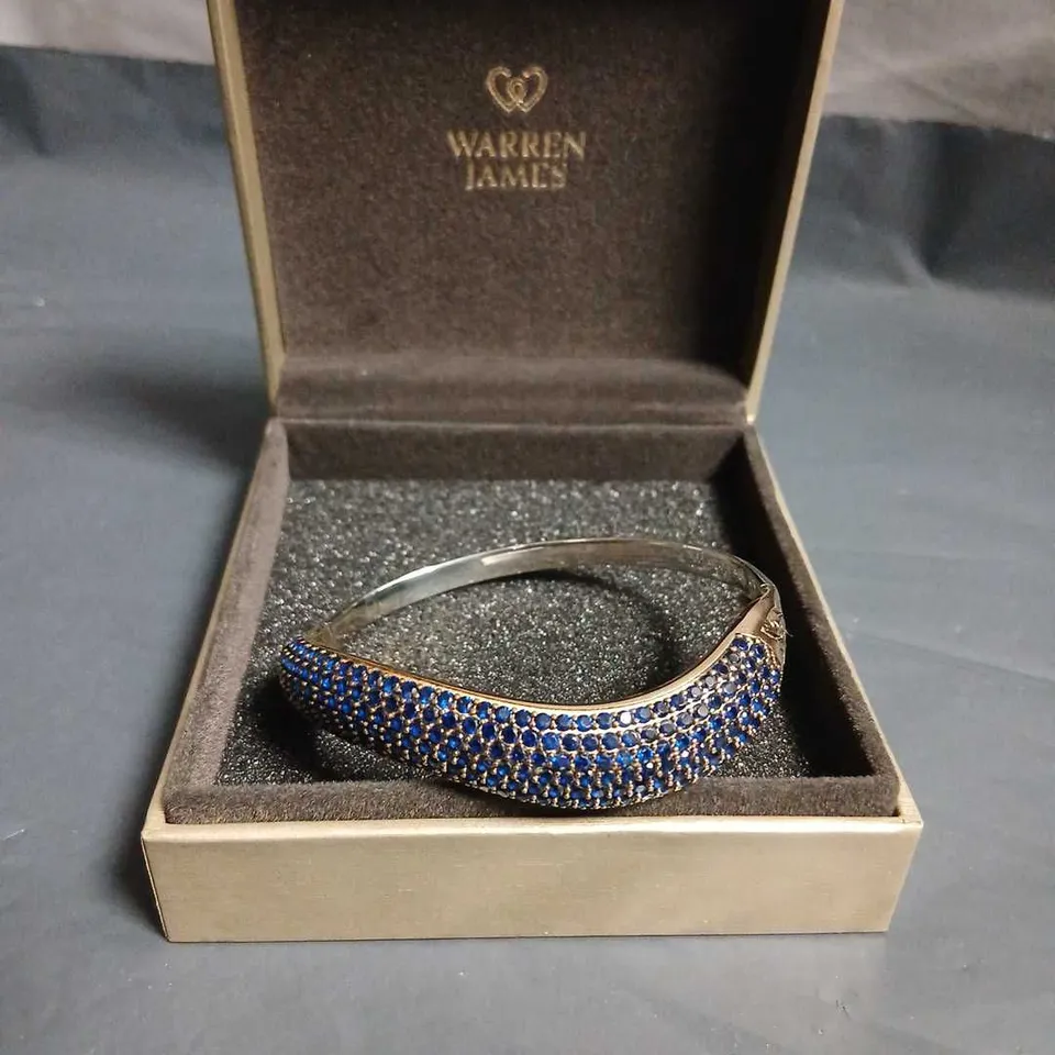 WARREN JAMES BLUE STONE BRACELET - BOXED