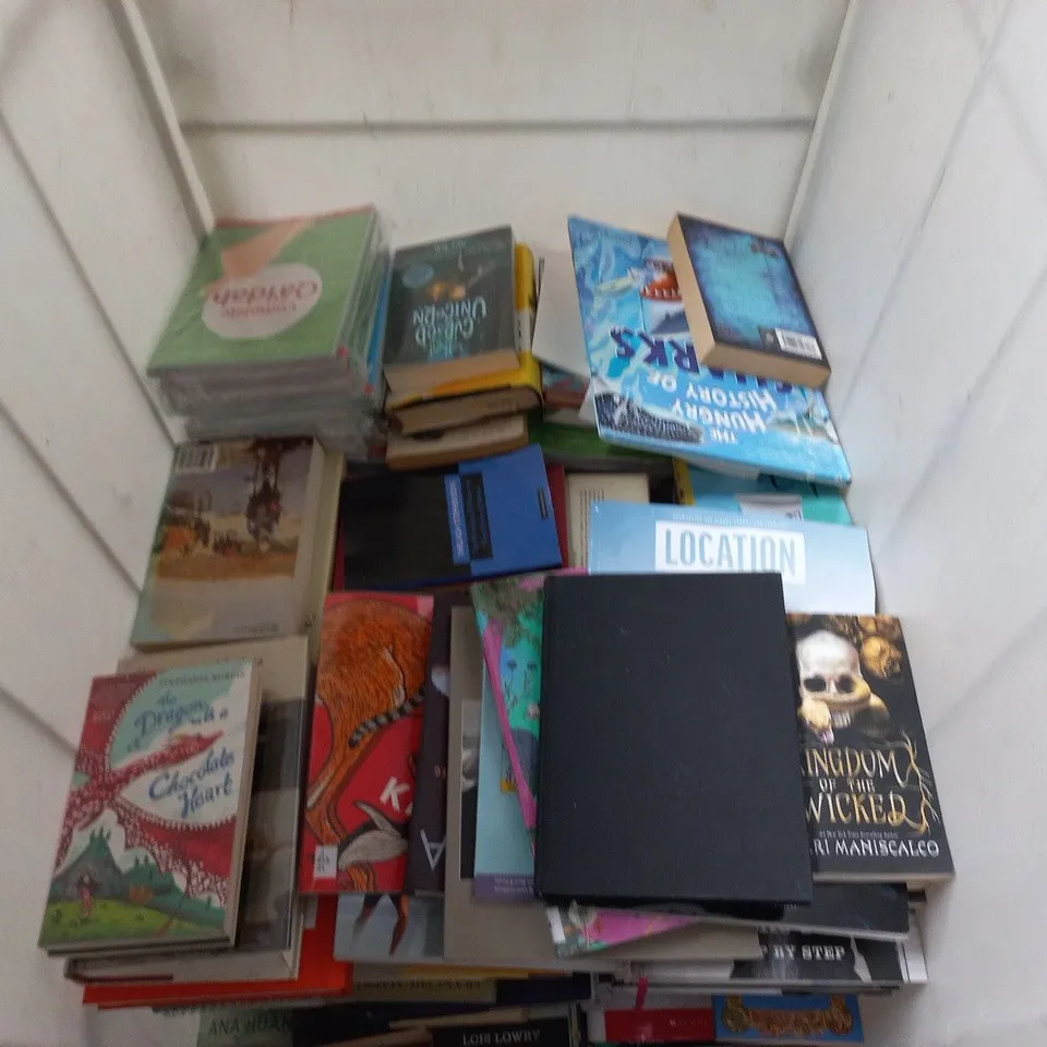 LARGE QUANTITY OF ASSORTED BOOKS TO INCLUDE CLASS, CITY AND POWER, KINGDOM OF THE WICKED AND VARIOUS KIDS BOOKS