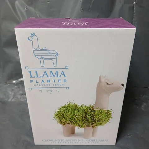 BOXED LLAMA PLANTER