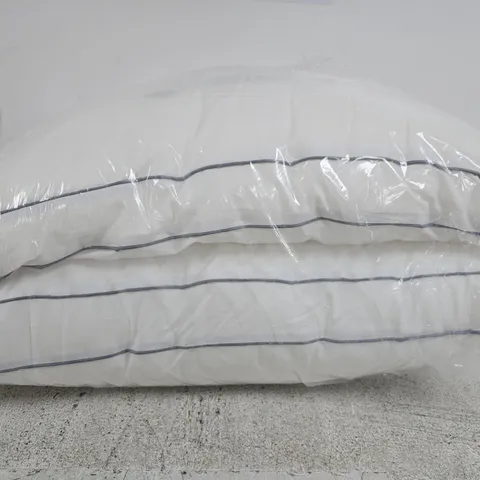SEALED PACK OF 2 LUXURY BOX PILLOWS 