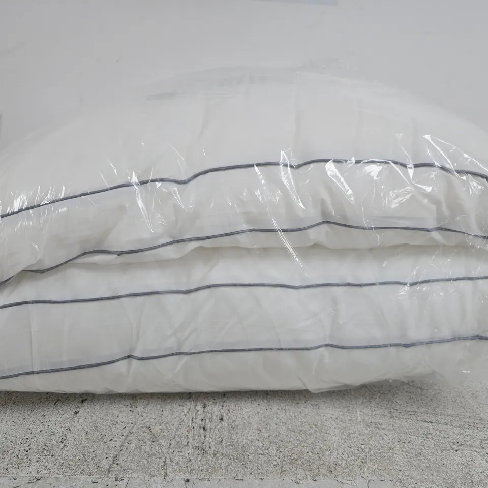 SEALED PACK OF 2 LUXURY BOX PILLOWS 