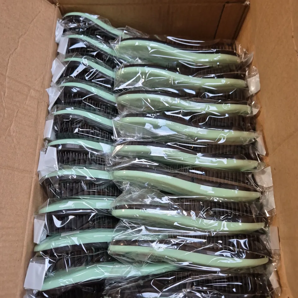 BOX OF 30 ASSORTED GREEN HAIR BRUSHES