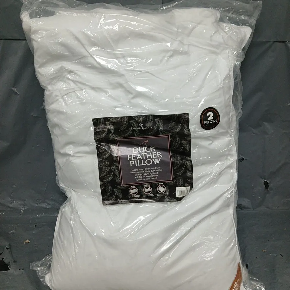 2 SEALED DUCK FEATHER PILLOWSBY GAVEND CAVAILIA 