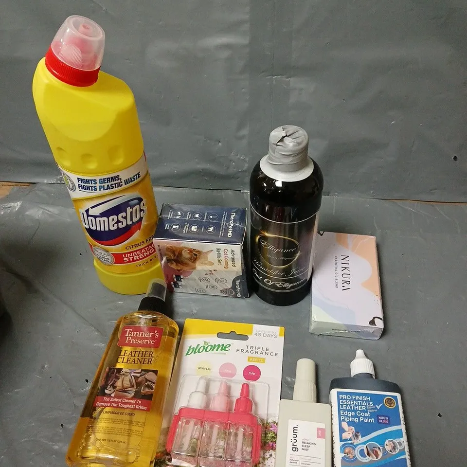 BOX OF ASSORTED HOUSEHOLD ITEMS TO INCLUDE BLEACH, GRUUM AND PIPING PAINT