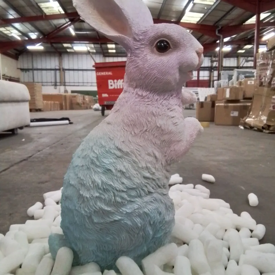 BOXED GARDEN RAINBOW BUNNY