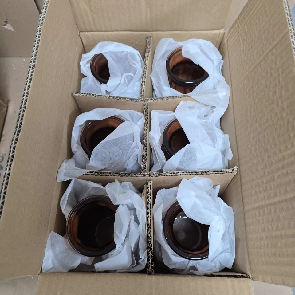 GISELA GRAHAM - BOX OF 6 DUSKY PINK POSY GLASS VASES 