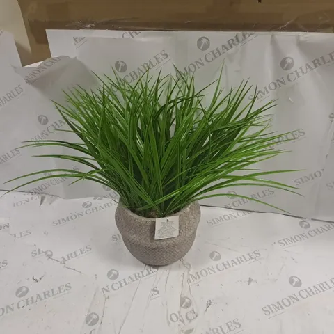 LARGE GRASS IN DECORATIVE POT