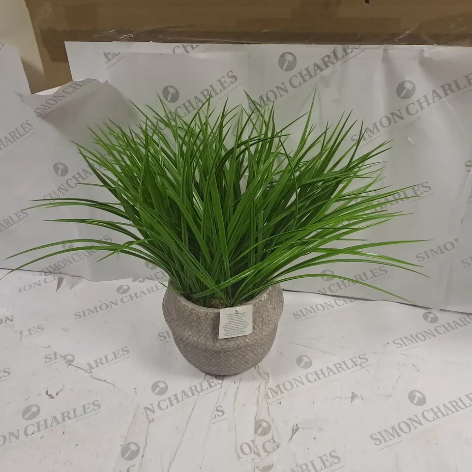 LARGE GRASS IN DECORATIVE POT 