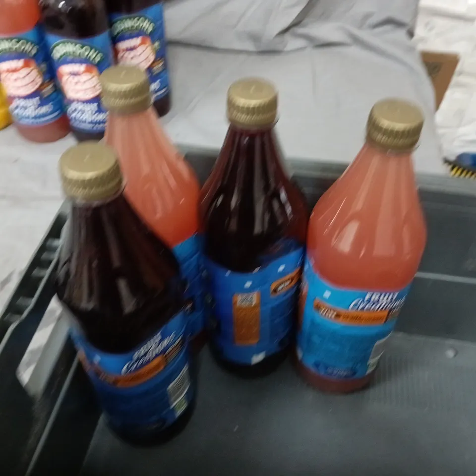 LOT OF 10 BOTTLES OF ROBINSON JUICE INCLUDES ORANGE, LEMON AND BLACKBERRY