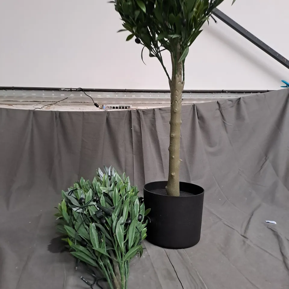 BOXED MY GARDEN STORIES BUSHY LED OLIVE TREE