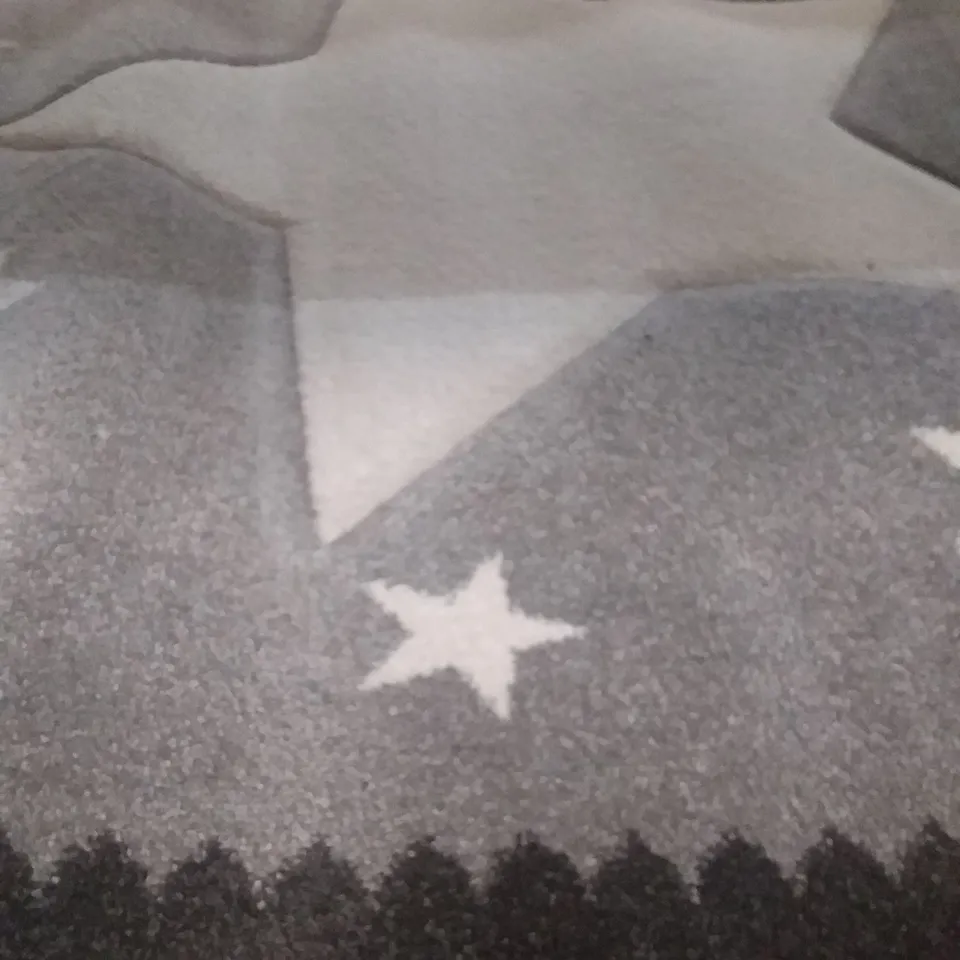 SEPULVEDA GREY BLUE STAR RUG - 160 X 230CM