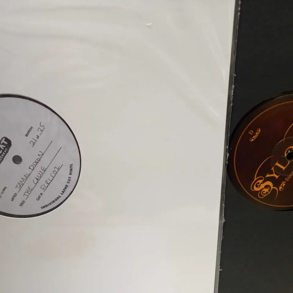 LOT OF 12 ASSORTED VINYLS TO INCLUDE INFRA-RED, KEISHA JENKINS AND BLACK BISHOP