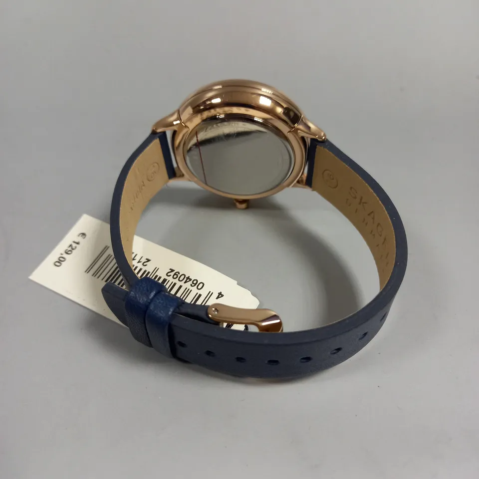 SKAGEN RIIS LADIES WATCH