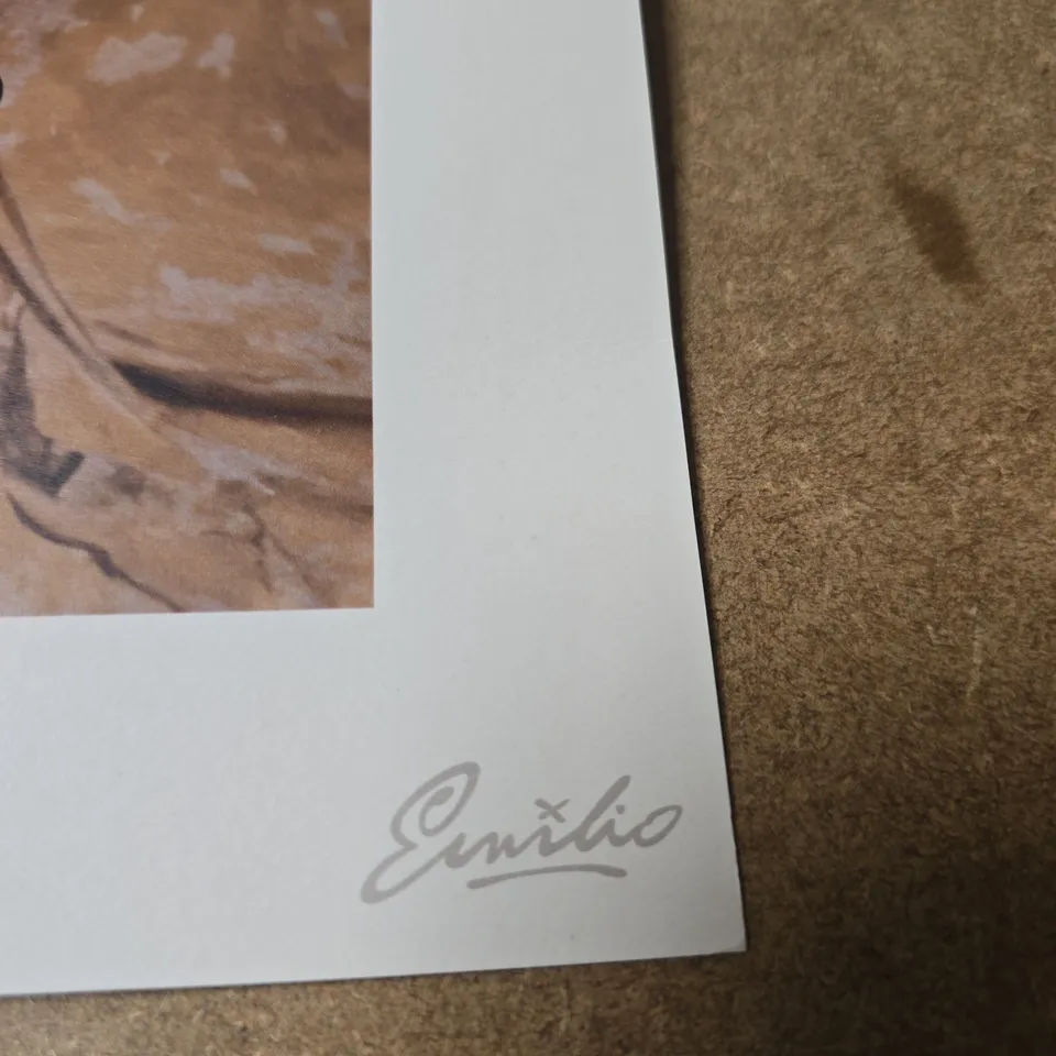 EMILIO SIGNED ALBUM COVER PRINT 