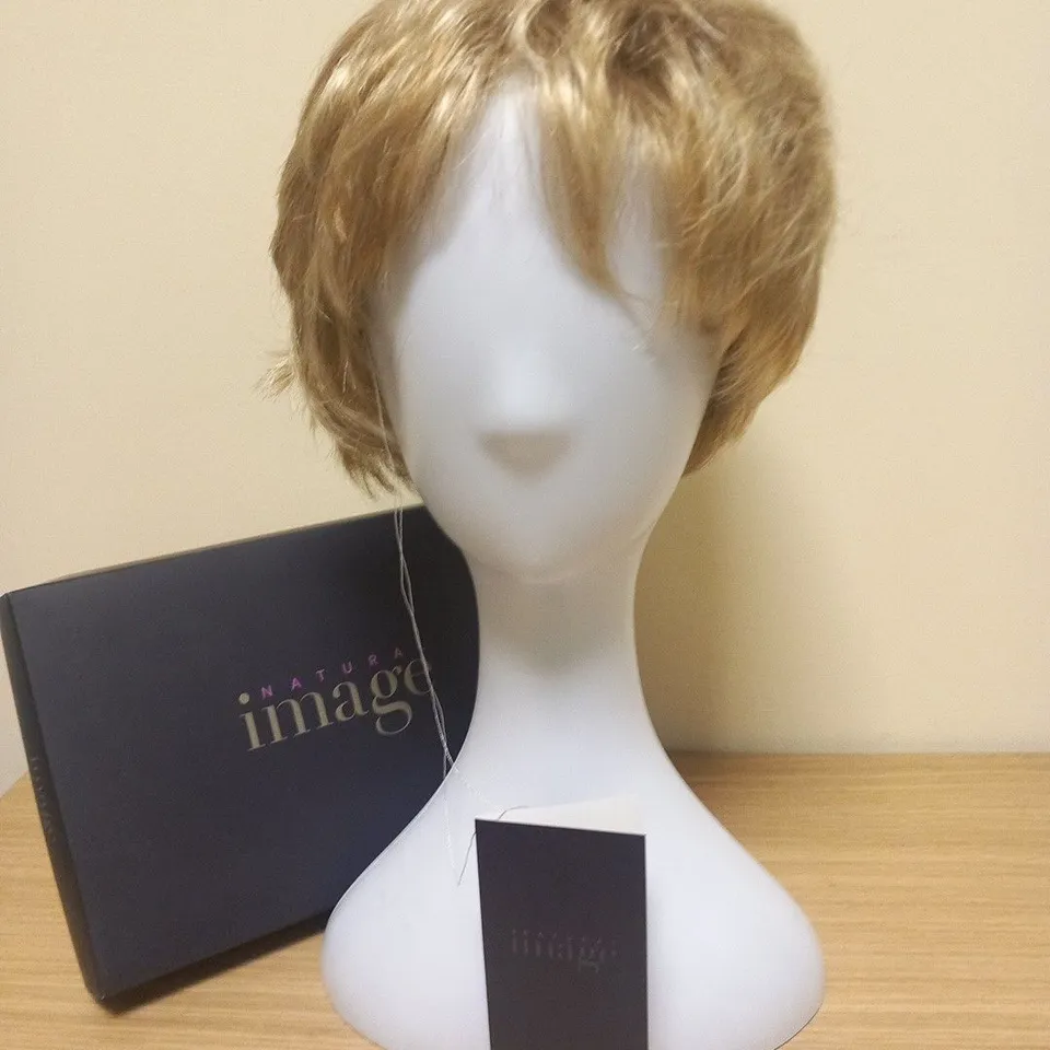BOXED NATURAL IMAGE ICONIC R14/88H WIG