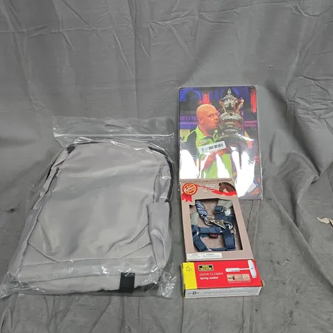 BOX OF APPROXIMATELY 15 ASSORTED HOUSEHOLD ITEMS TO INCLUDE MICHAEL VAN GERWEN PICTURE, HORSE COLLAR, DOOR CLOSER, RUCK SACK ETC