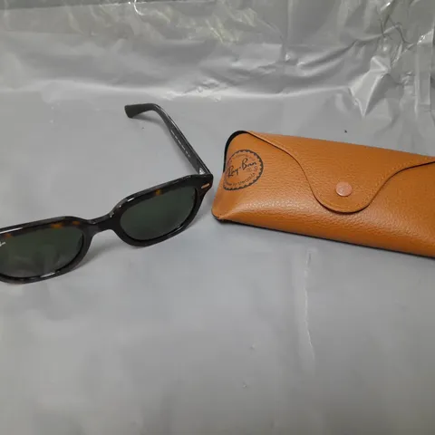 RAY-BAN ERIK SQUARE ACETATE SUNLASSES