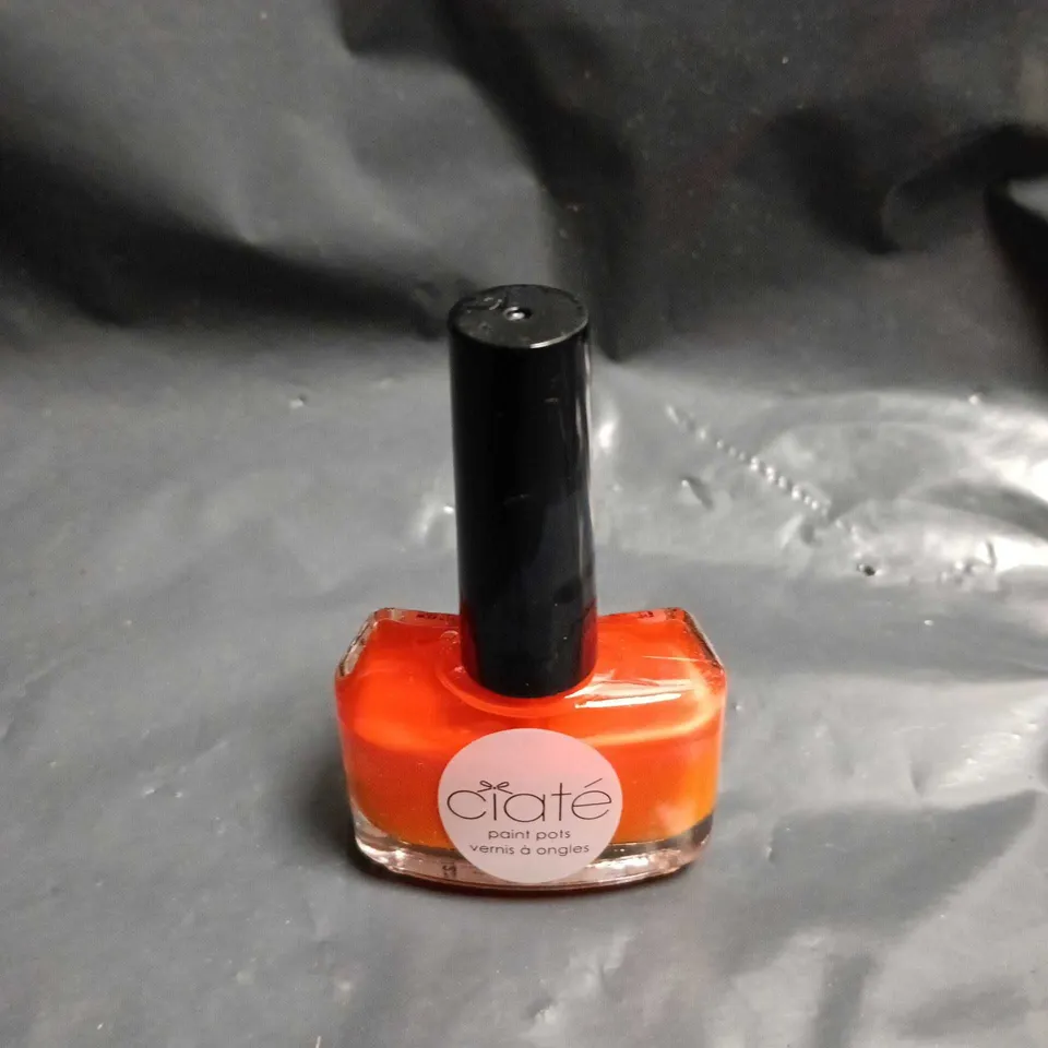 APPROXIMATELY 150 CIATE SPEED DIAL NAIL POLISH