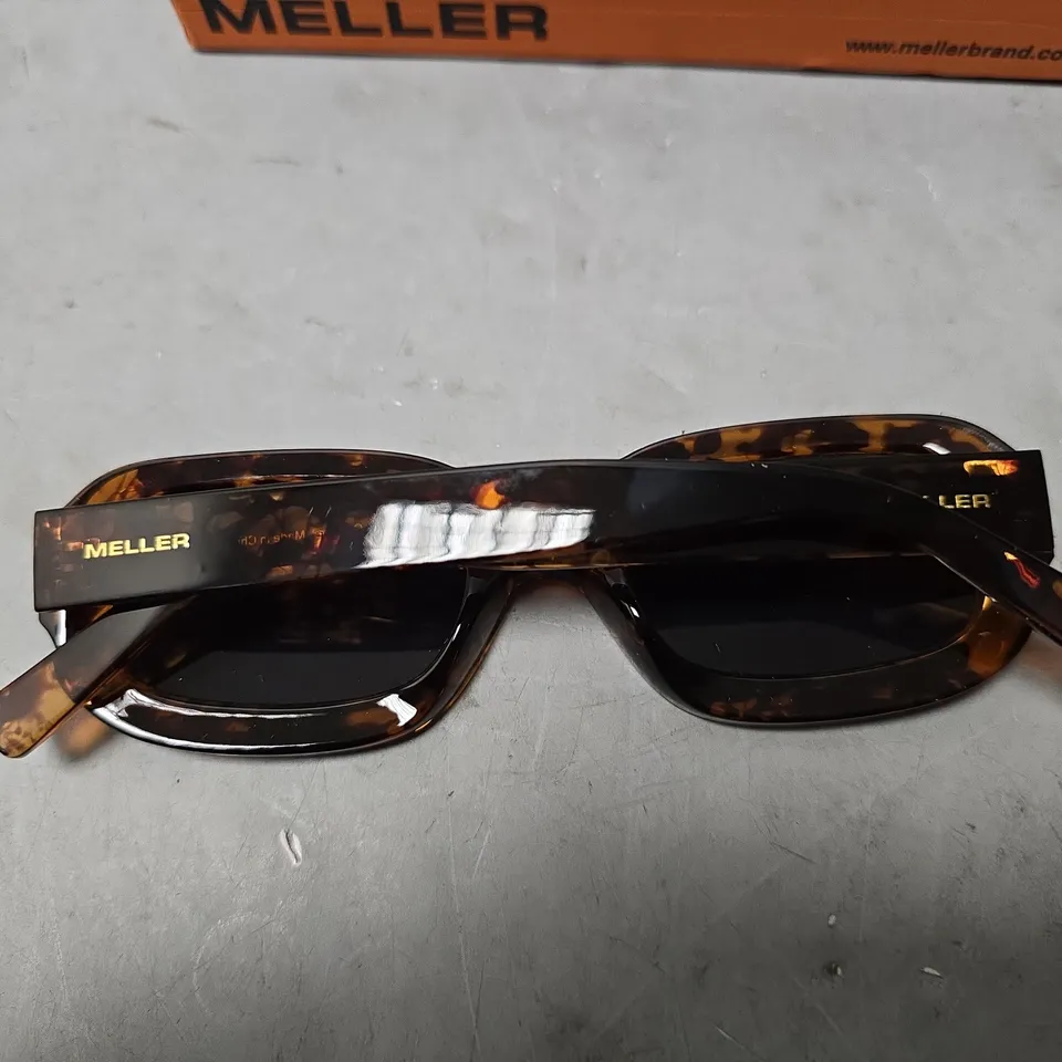 BOXED MELLER DASHI GLASSES