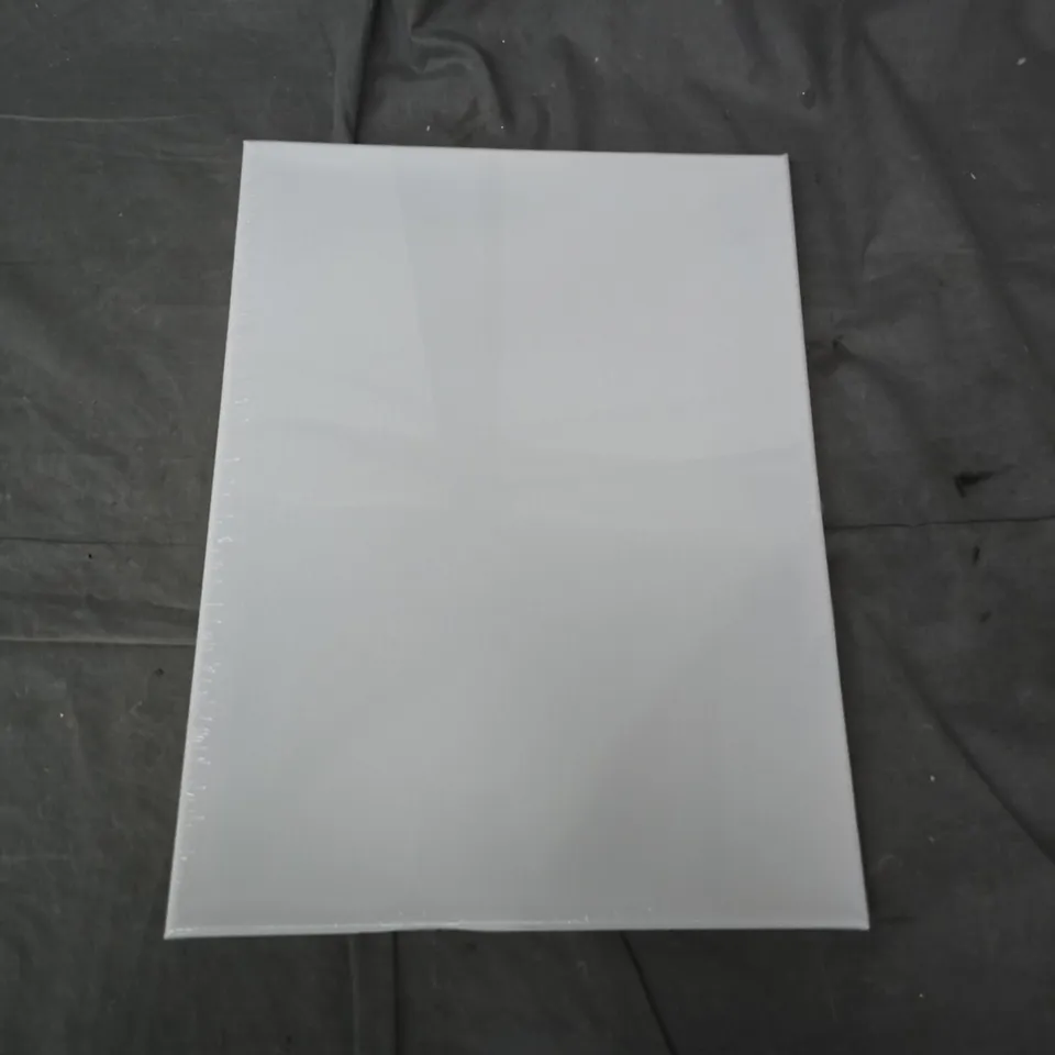 6PC CANVAS SET (30X40CM)