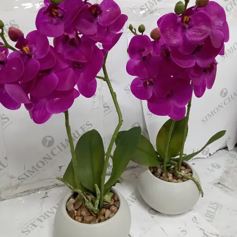 HOME REFLECTIONS SET OF 2 REAL TOUCH ORCHIDS IN A CERAMIC POT
