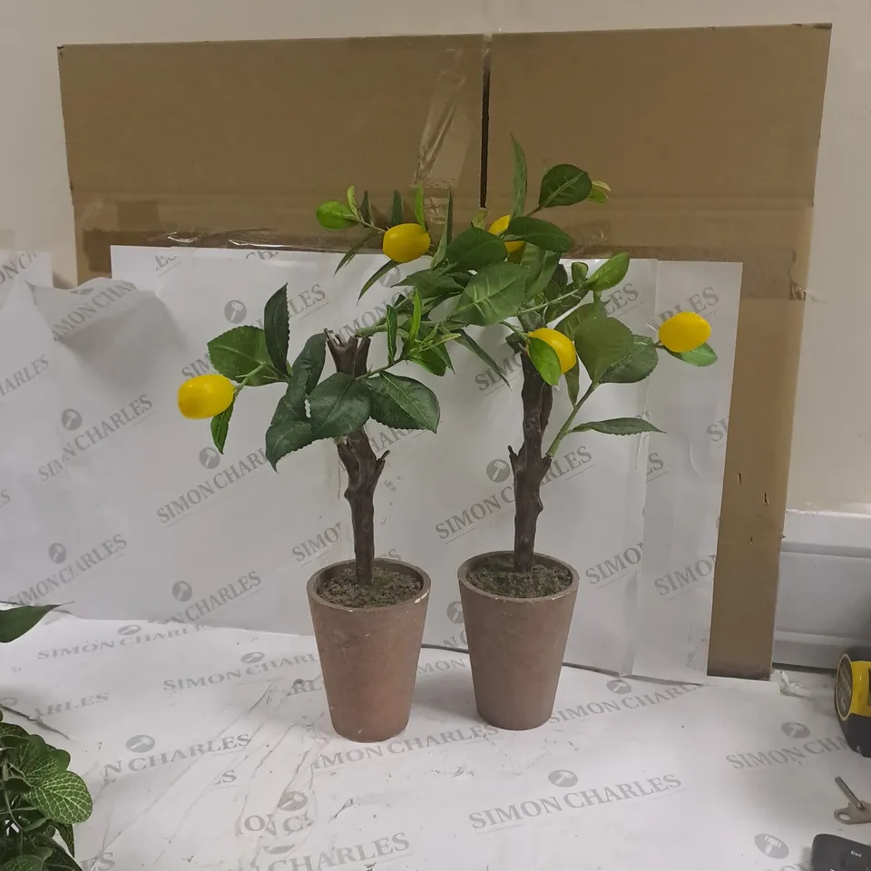 BOXED SET OF 2 SYNTHETIC LEMON TREES IN POTS