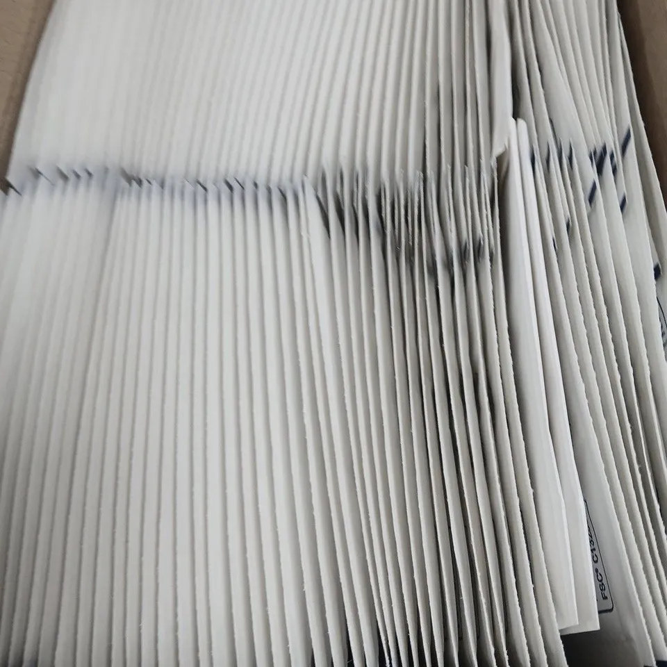 FEATHER POST C WHITE STD – QTY 100