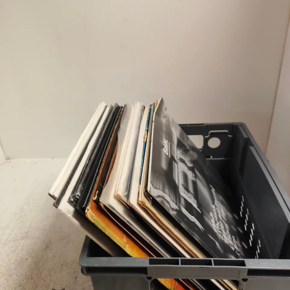 APPROXIMAYELY 24 ASSORTED LP VINYLS INCLUDING RAY SUZUKI , THE MOODY BLUES AND ACDC