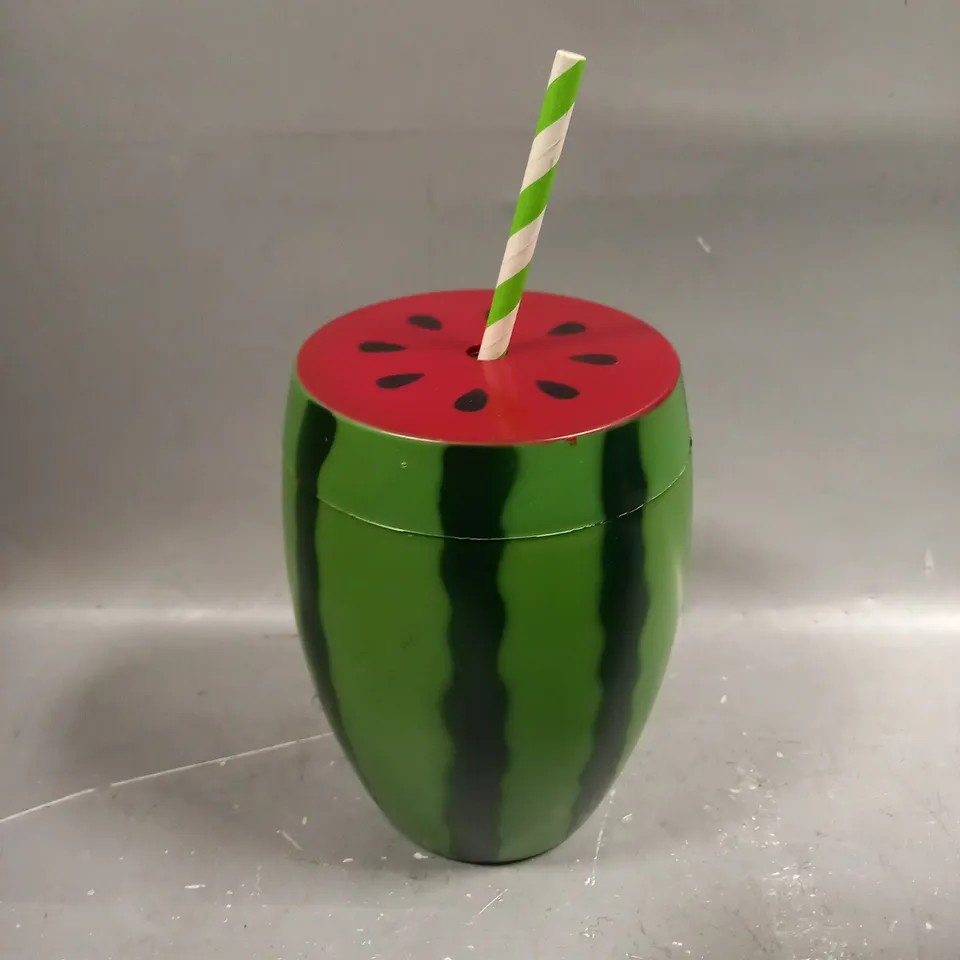 12 X PLASTIC WATERMELON DRINKING CUPS & STRAWS 