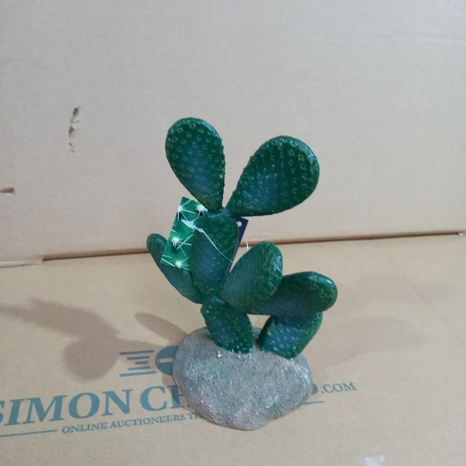 PROREP CACTUS DESIGNED PLANT 