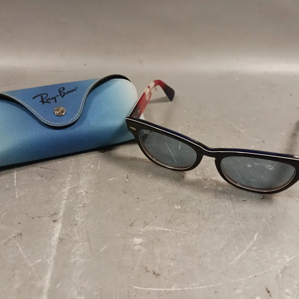 RAY-BAN LARAMIE SPECIAL SERIES SUNGLASSES 