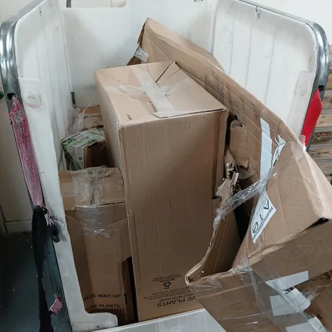 CAGE OF 5 BOXED LIVE PLANTS