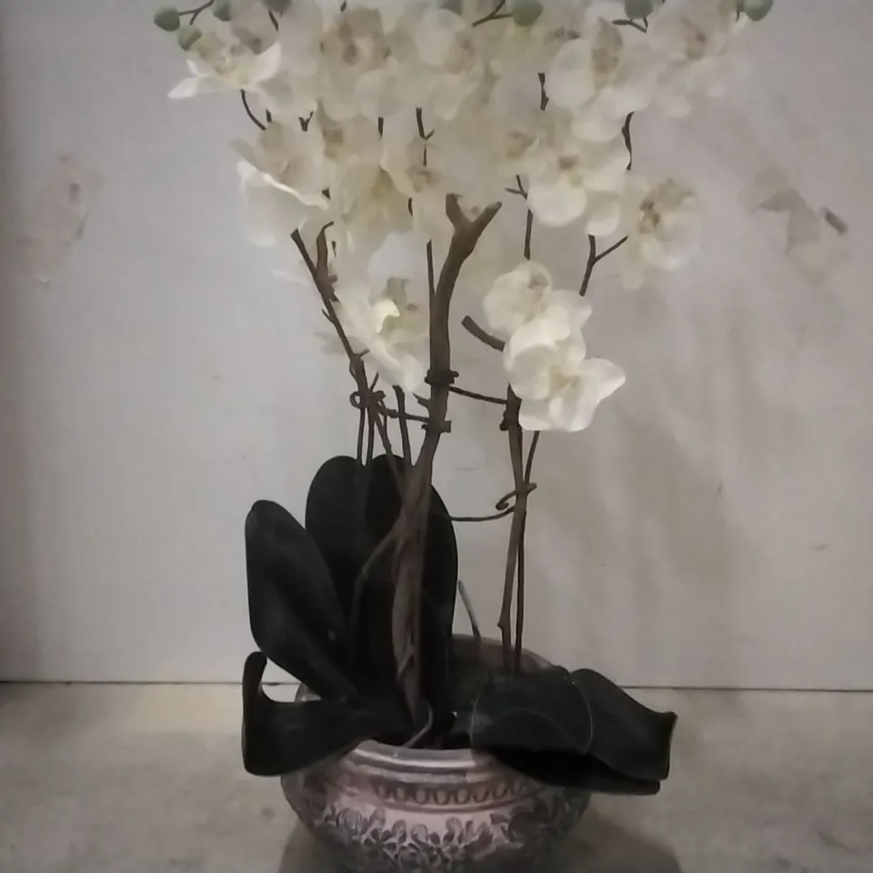 BOXED ORCHID CENTERPIECE IN PLANTER 
