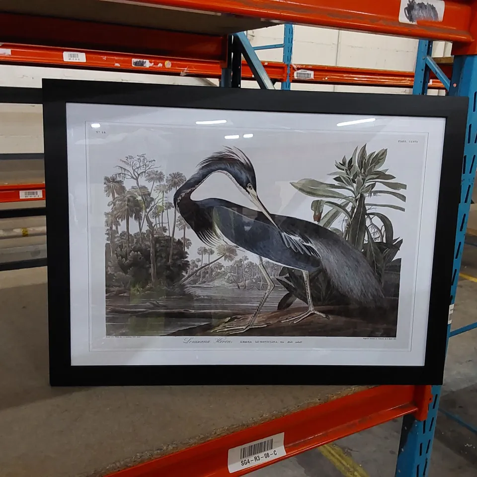 BOXED LOUISIANA HERON BY JOHN AUDUBON 