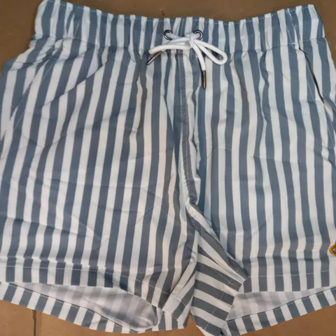 THIRST STRIPED SHORTS IN BLUE AND WHITE SIZE S
