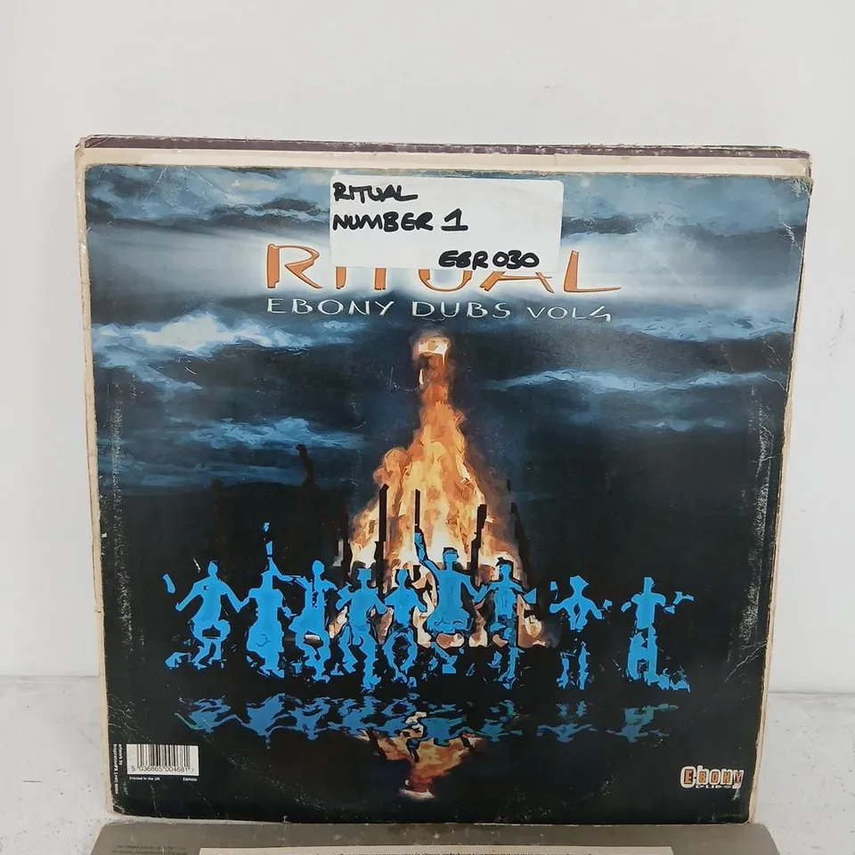 APPROXIMATELY 10 ASSORTED VINTAGE VINYL LPS (MUSIC) – VARIOUS ARTISTS TO INCLUDE; PRINCE, MEGA CITY AND CHUCK BERRY