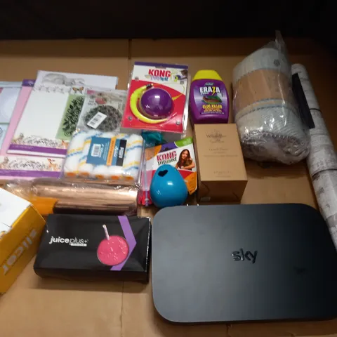 LARGE QUANTITY OF ASSORTED HOUSEHOLD ITEMS TO INCLUDE DOG TOYS, PICNIC BLANKET ND CRAFT PACKS
