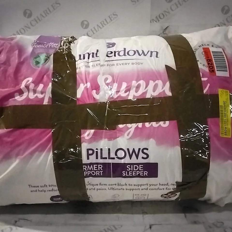 BAGGED SLUMBERDOWN COSY NIGHT'S PILLOW X2