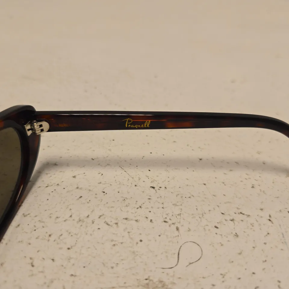 PRAGNELL SUNGLASSES – TORTOISHELL ACETATE FRAME WITH GOLD SCRIPT LOGO ON TEMPLE
