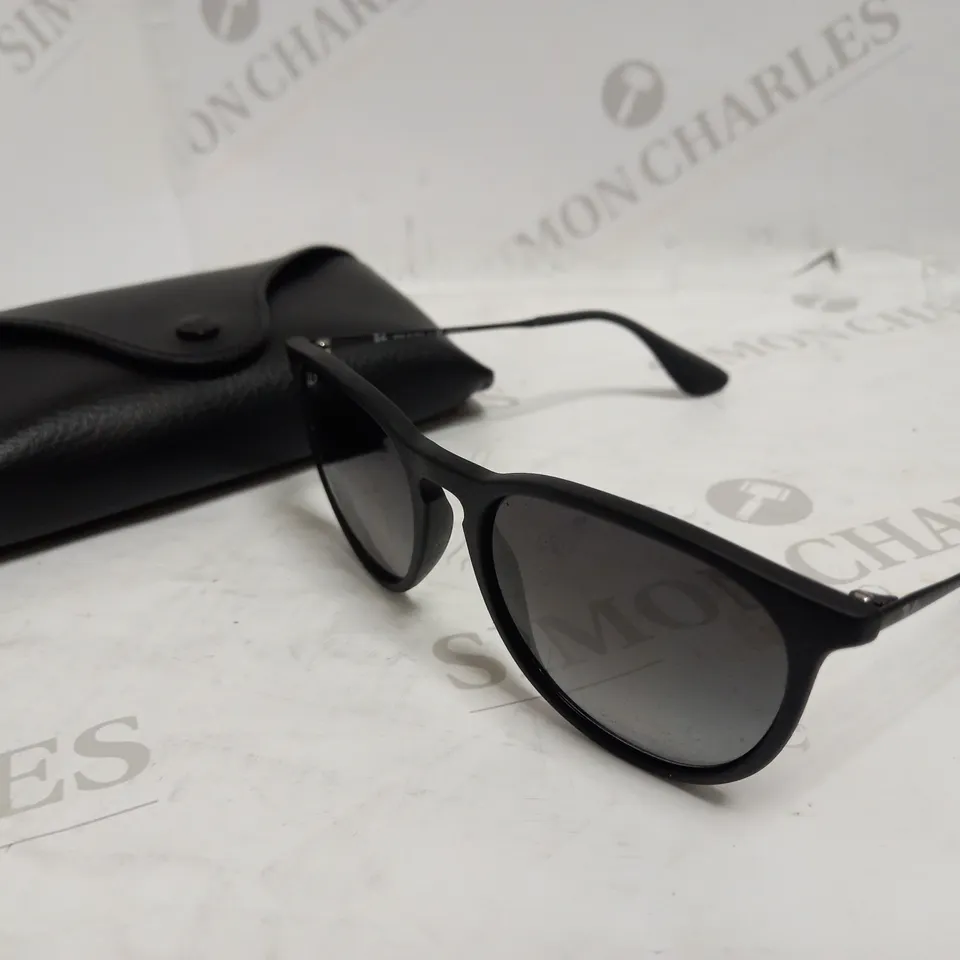 RAY-BAN STYLE ERIKA SUNGLASSES