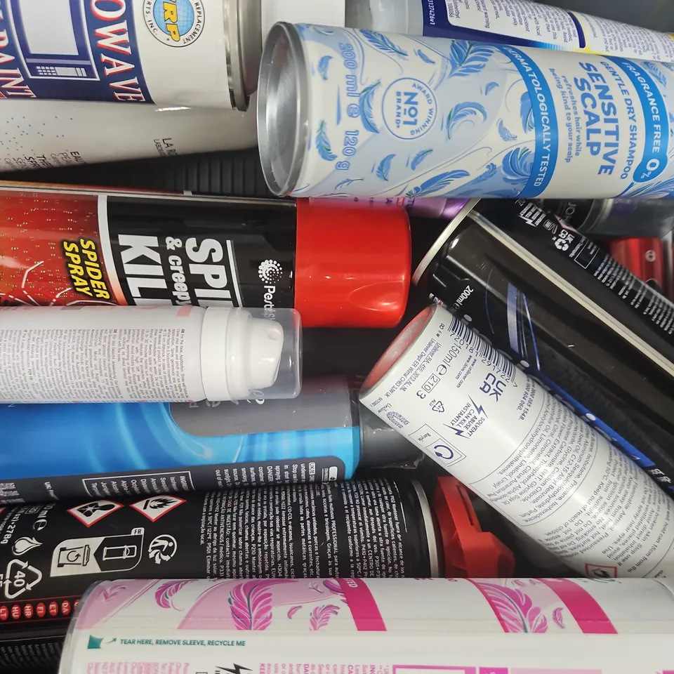 APPROXIMATELY 10 ASSORTED ITEMS TO INCLUDE SPIDER KILLER, BATISTE, ETC - COLLECTION ONLY