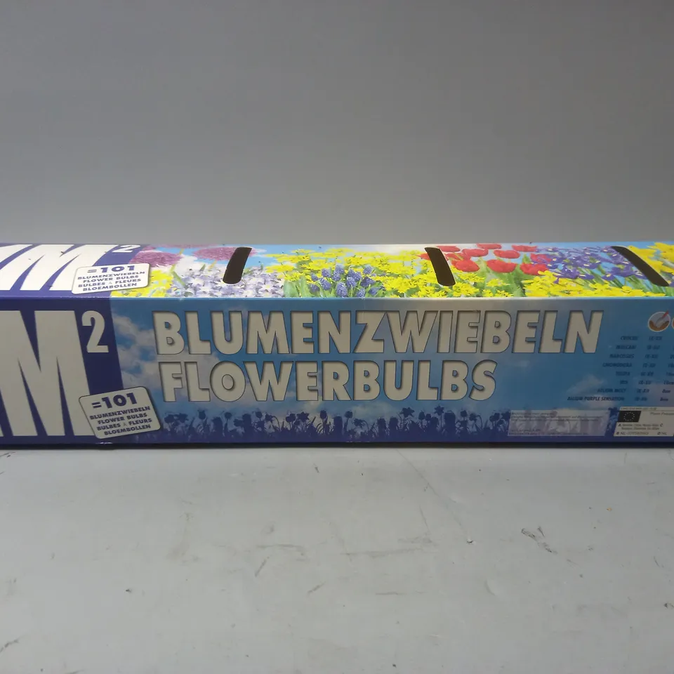 CRATE OF 8 101-BULB PACKS OF FLOWERS TO INCLUDE CROCUS, MUSCARI AND IRIS