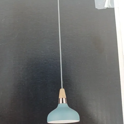 BOXED PAULMANN NEORDIC JUNA 1 LIGHT CEILING DOME PENDANT LIGHT WOOD/METAL GREEN/BLUE