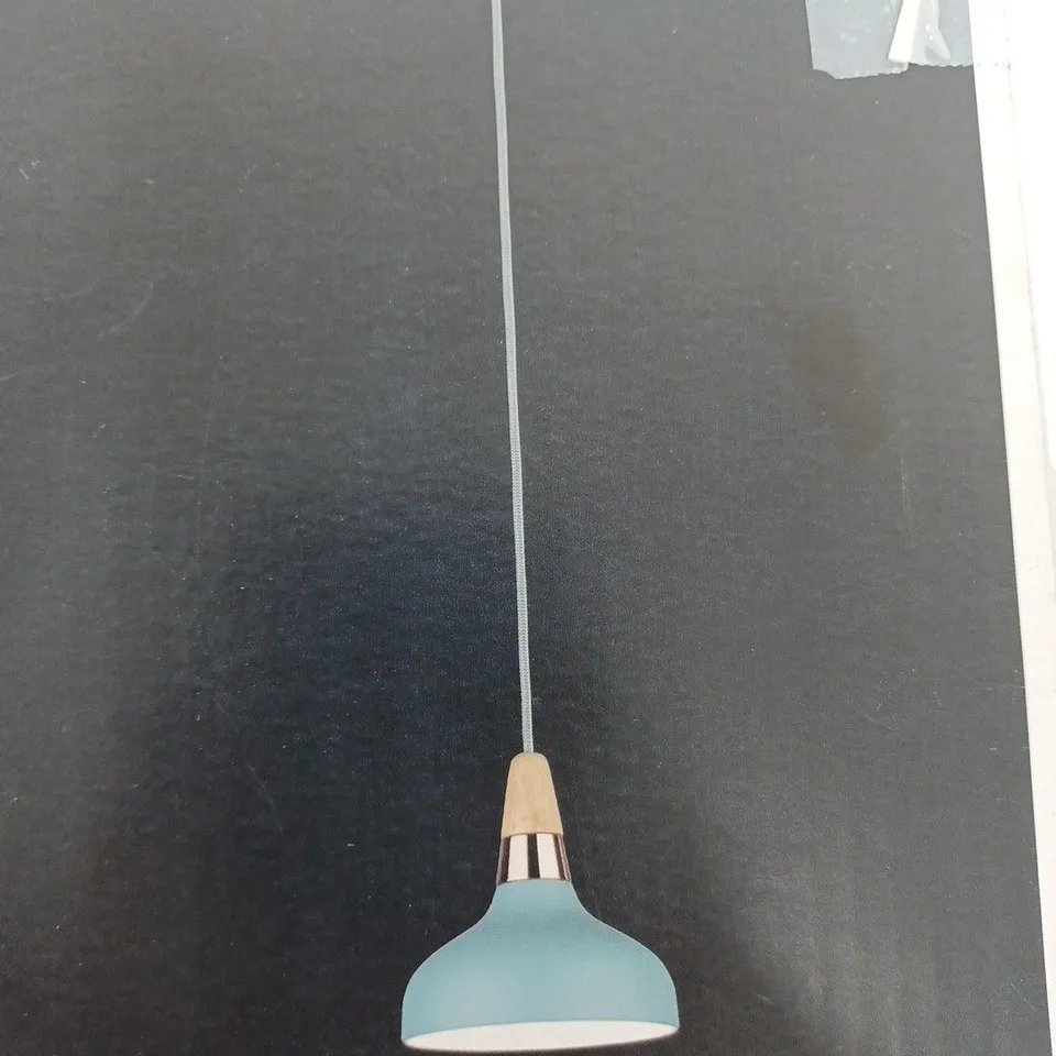 BOXED PAULMANN NEORDIC JUNA 1 LIGHT CEILING DOME PENDANT LIGHT WOOD/METAL GREEN/BLUE