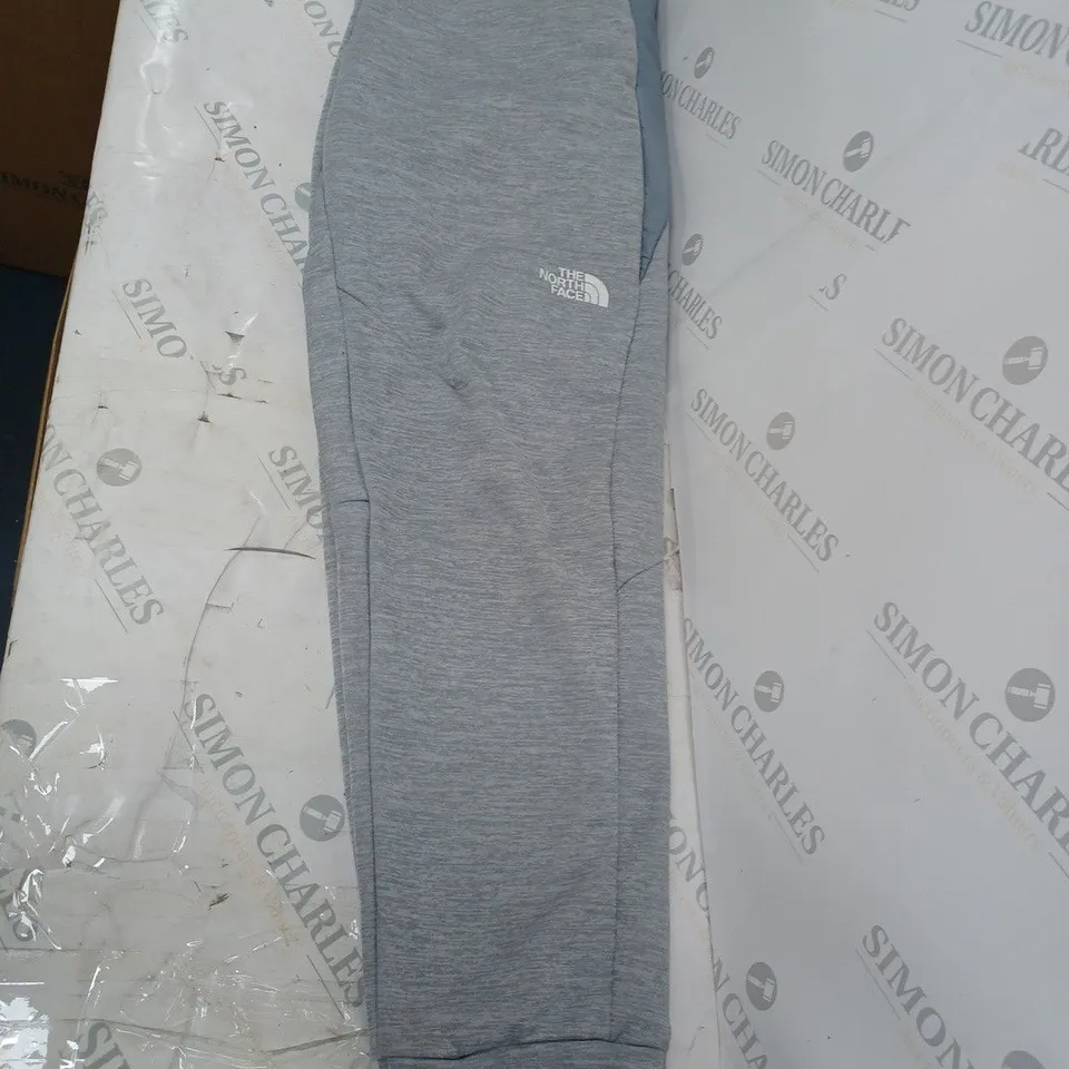 MENS LARGE NORTH FACE PANTS GREY