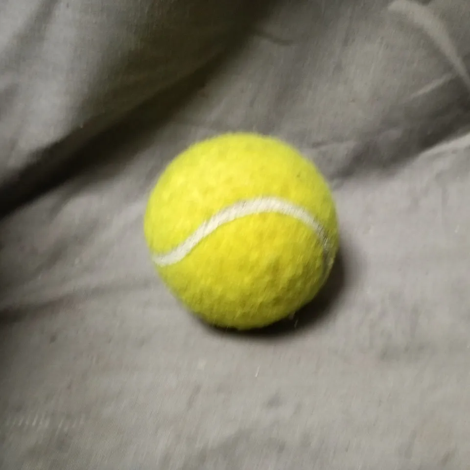 APPROXIMATELY 20 ASSORTED TENNIS BALLS