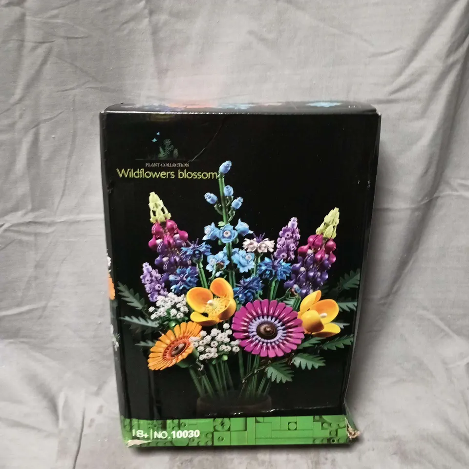 boxed plant collection wildflowers blossom set - 10030