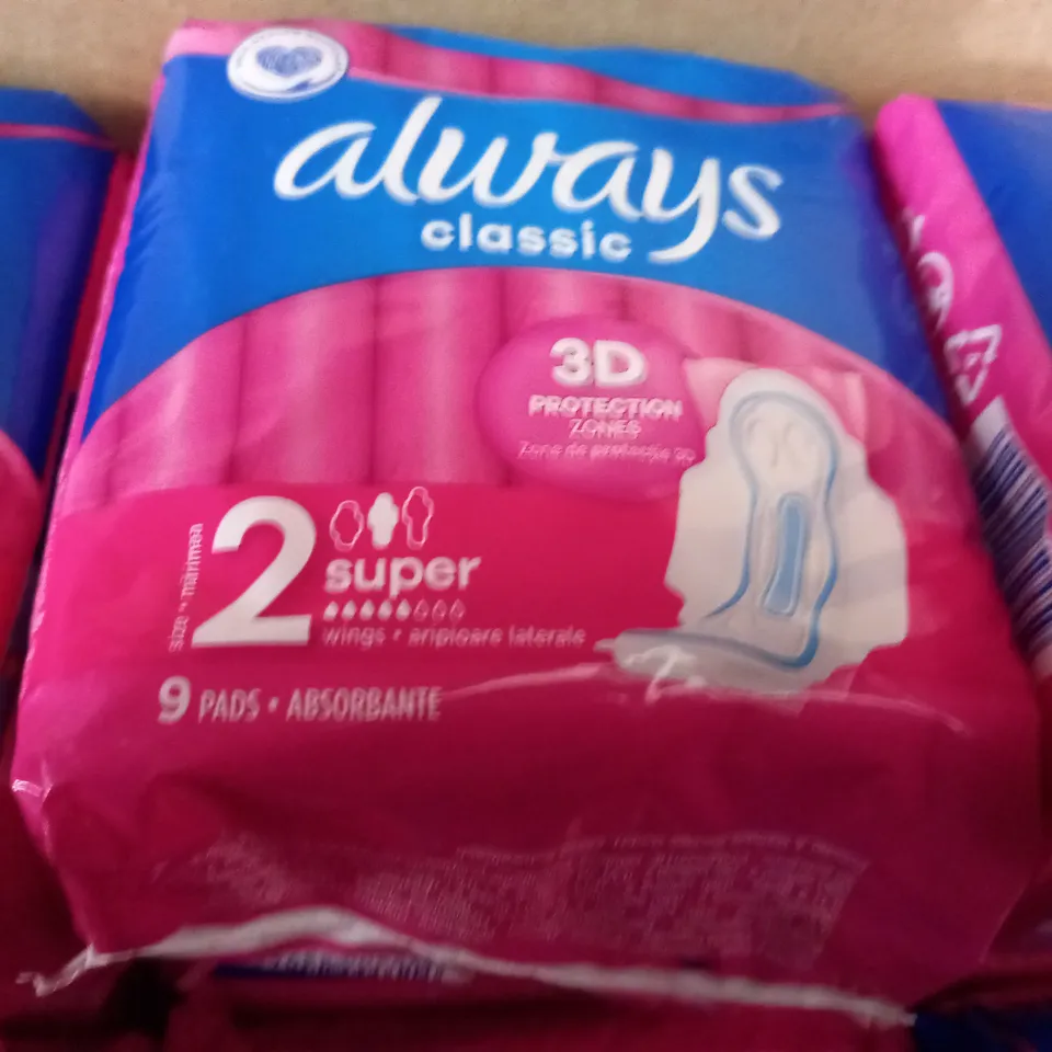 LOT OF 12 ALWAYS CLASSIC PROTECTIVE PADS