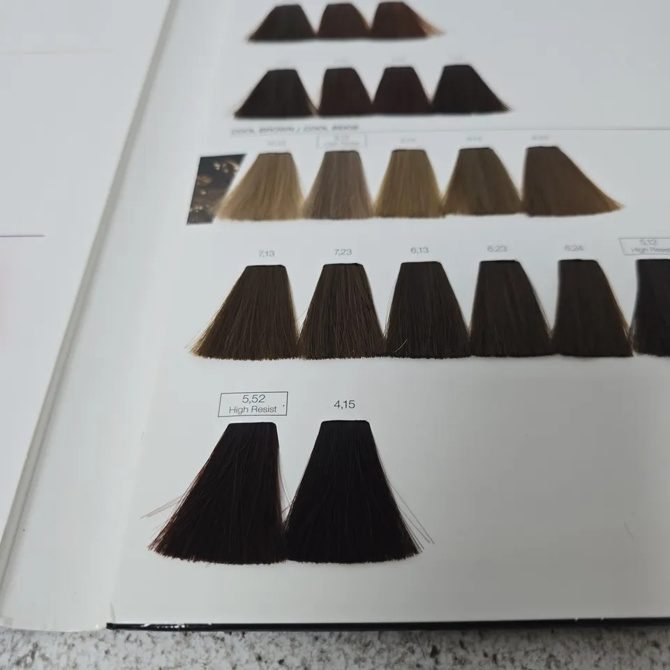 L'ORÉAL PROFESSIONNEL INOA PROFESSIONAL HAIR COLOR PRODUCT AND SHADE GUIDE
